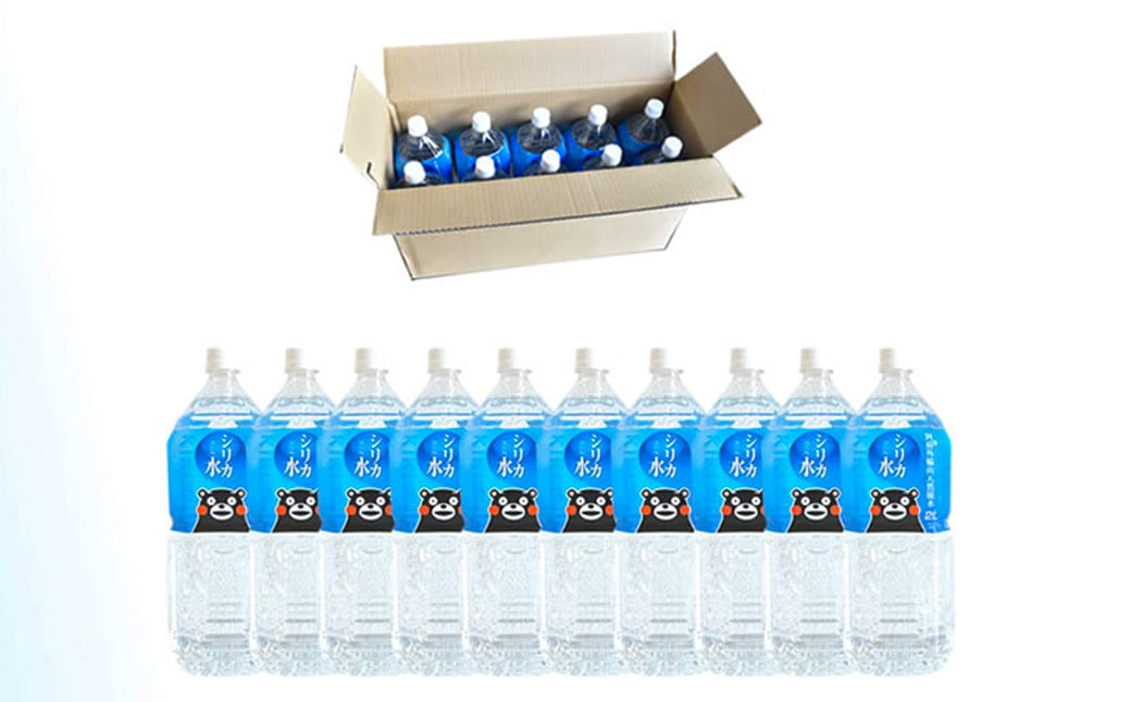 【定期便6回】シリカ天然水 2L×10本 計60本 《お申込み月の翌月から出荷開始》---159-1875---
