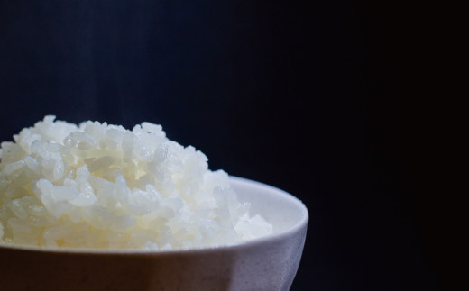 【精米】【令和7年産】有機JAS 七城産 ひのひかり 4kg(2kg×2袋)《30日以内に出荷予定(土日祝除く)》---171-1912-S---