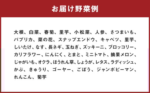 【定期便5回】 野菜 定期便 10品程度 熊本県 菊池市産 やさい 【メロンドーム】《お申し込みの翌月から出荷》---003-2419---