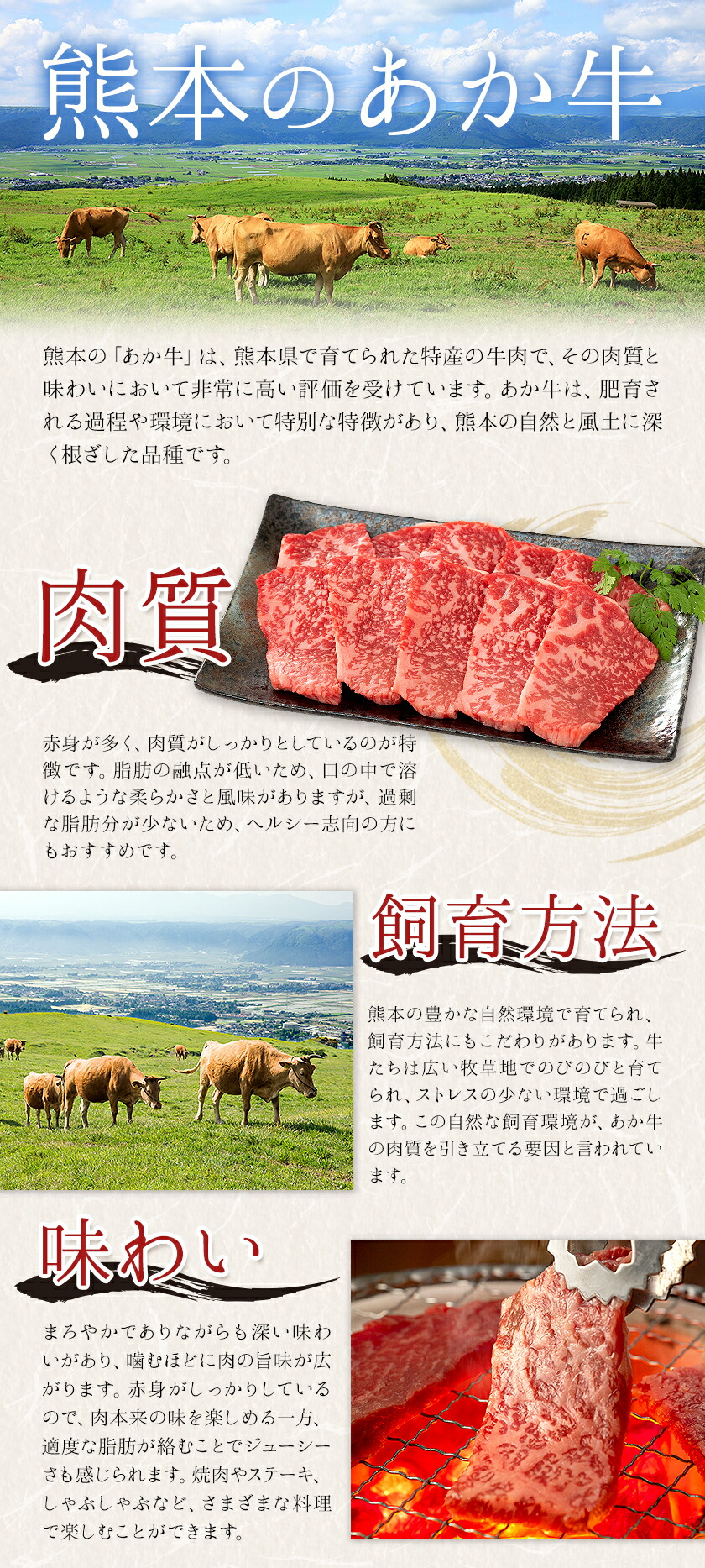 熊本県産あか牛使用 くまもとあか牛 ビーフカレー 4袋 1袋160g レトルト カレー パック 常備食 長期保存 送料無料《30日以内に出荷予定(土日祝除く)》---022-5003---