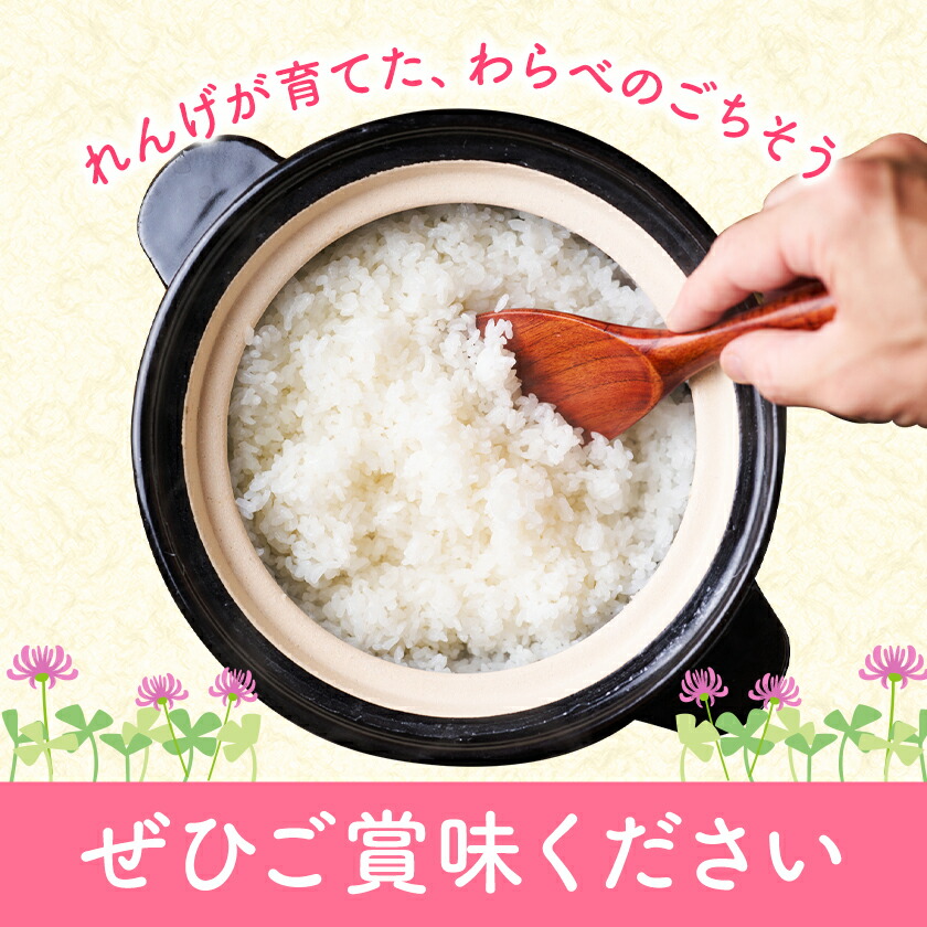 熊本県菊池市産のれんげ米 5kg 《30日以内に出荷予定(土日祝除く)》  精米方法 精米 お米 白米 レンゲ米 熊本県産 九州産 送料無料---313-0001---