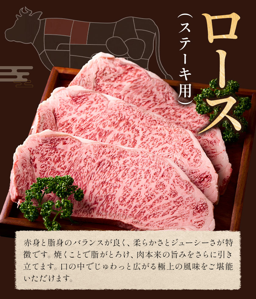 味彩牛 ロースステーキ 合計約400g 約200g×2枚 菊池地域農業協同組合(JA菊池まんまキッチン)《30日以内に出荷予定(土日祝除く)》熊本県 菊池市 ステーキ 牛肉 お肉 熊本県産 九州産 国産 冷凍 送料無料---147-2249---