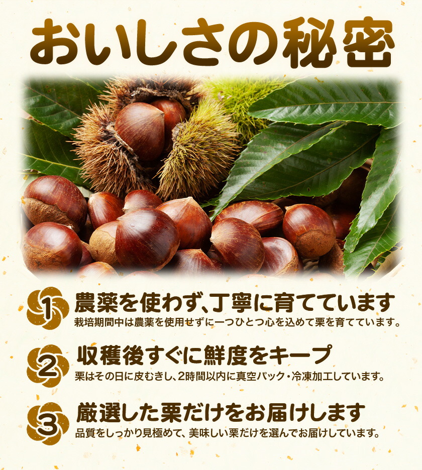 菊池水源産 さのまろん 冷凍剥き栗 内容量 約800g 農事組合法人菊池佐野《30日以内に出荷予定(土日祝除く)》熊本県 菊池市 栗 むき栗 筑波 冷凍 熊本県産 九州産 国産 送料無料 ---176-2193---