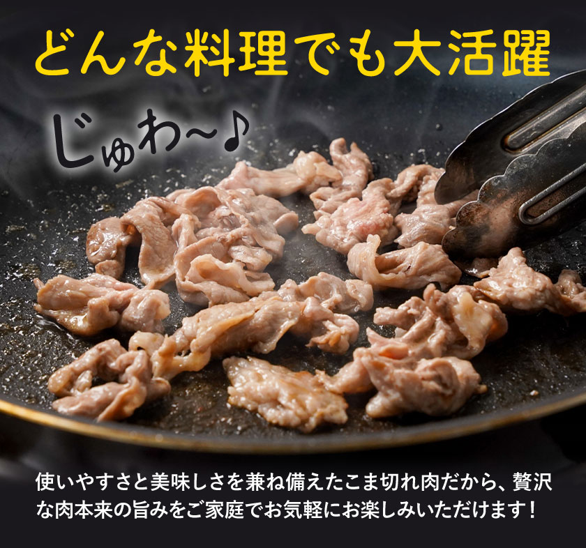 【12ヶ月定期便】熊本県産 豚肉 モモスライス ウデ こま切れ セット 合計 約36kg 約3kg×12回 植田商事有限会社 《お申込み翌月から出荷》 熊本県 菊池市 モモ ウデ 詰め合わせ 豚 お肉 肉 国産 九州産 冷凍 送料無料---083-2091---