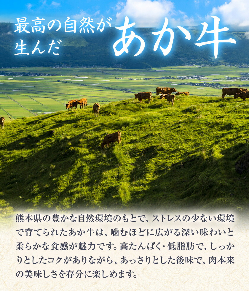 GI認証取得 くまもとあか牛100％使用 くまもとあか牛ハンバーグ 150g×20パック あか牛 ハンバーグ 牛肉 肉 国産 九州産 熊本県産 冷凍《30日以内に出荷(土日祝除く)》---034-5008---