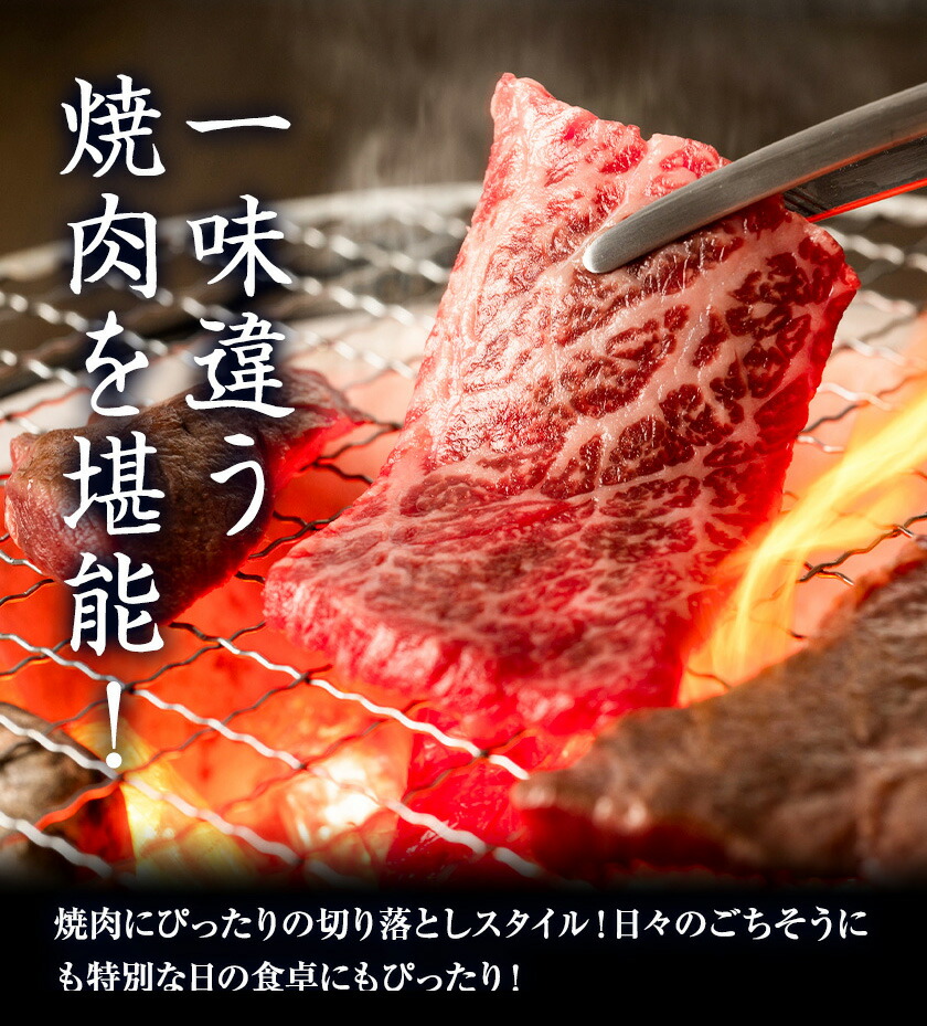 GI認証取得 くまもとあか牛 焼肉用 切り落とし 300g×2パック 合計600g あか牛 切落し 牛肉 肉 国産 九州産 熊本県産 冷凍《30日以内に出荷(土日祝除く)》---034-5006---