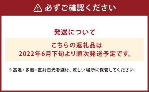 【6月下旬～発送】特選 アールスメロン 3玉/箱（2kg×3玉）メロン 養生市場st-p