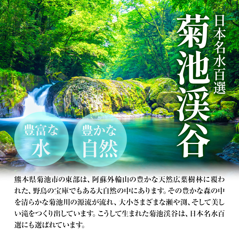 【6ヶ月定期便】 九州産若鶏ムネ肉 600g×7袋 計12.6kg（4.2kg×3回）鶏肉 お肉 ムネ肉 むね肉 小分け 冷凍 九州産 国産 熊本県 菊池市 送料無料《お申し込みの翌月から出荷》---0146-3018---