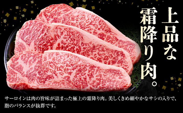 旭志牛 サーロインステーキE 160g×3枚 合計480g 有限会社旭志村ふれあいセンター《90日以内に出荷予定(土日祝除く)》お肉 牛肉 サーロイン ステーキ 菊池ブランド牛 冷凍 送料無料 ---001-1952---