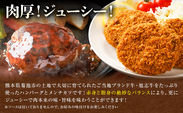 旭志牛 ハンバーグ&メンチカツセット 合計900g 110g×5個 70g×5個 有限会社旭志村ふれあいセンター 《90日以内に出荷予定(土日祝除く)》ハンバーグ メンチカツ セット 牛肉 豚肉 肉 和牛 ブランド牛 惣菜 おかず 冷凍食品 菊池市産 旭志産 冷凍 送料無料---001-1956---