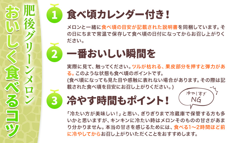 肥後グリーン メロン 2玉 約3.2kg 七城町特産品センター《5月中旬-6月末頃出荷》熊本県 菊池市 メロン 果物 フルーツ 九州産 熊本県産 めろん グリーンメロン---003-0109---