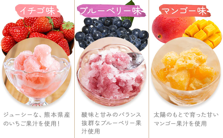 ゼリーシャーベット 10個セット(5種類×各2個) 道の駅七城メロンドーム 《30日以内に出荷予定(土日祝除く)》メロン いちご マンゴー ブルーベリー シャーベット 洋菓子 お菓子 おやつ ゼリーシャーベット 送料無料---003-1070---