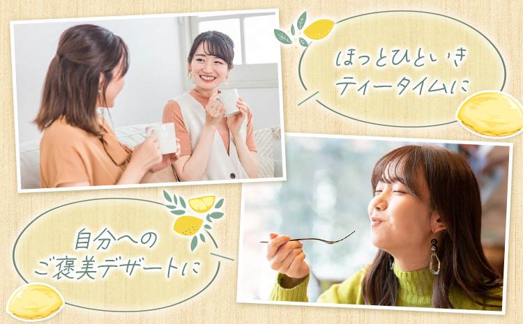 レモンケーキ 15個入り【養生市場】合計約750g 有限会社七城町特産品センター《90日以内に出荷予定(土日祝除く)》熊本県 菊池市 レモン ケーキ 檸檬ケーキ レモンチョコ おかし お菓子 デザート スイーツ おやつ---003-1162---