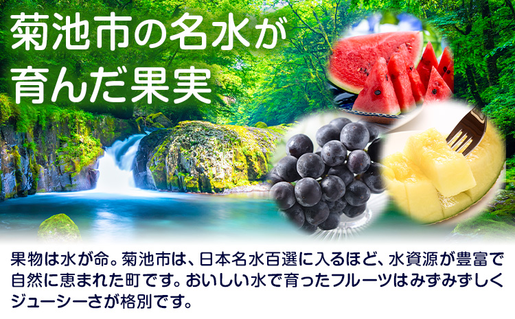 フローズンフルーツ 約80g～150g入り×8袋 種類おまかせ ランダム 有限会社七城町特産品センター《90日以内に出荷予定(土日祝除く)》熊本県 菊池市 冷凍フルーツ 果物 フルーツ 国産 冷凍 フローズン---003-1420---