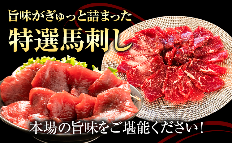 特選馬刺しセットC 合計400g 2種類 セット 上赤身100g×2 ロース100g×2 有限会社七城町特産品センター《90日以内に出荷予定(土日祝除く)》熊本県 菊池市 馬肉 馬刺し 食べ比べ 詰め合わせ ブロック 冷凍 送料無料---003-1485---