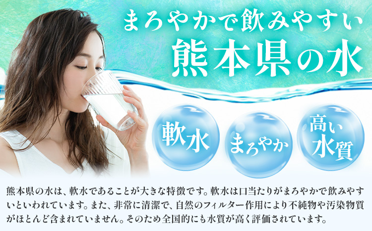 ピュアウォーター 純度99.99% 12L×2本 合計24L スターターセット付き（専用蛇口・段ボール台座）有限会社七城町特産品センター《90日以内に出荷予定(土日祝除く)》 熊本県 菊池市 ピュアウォーター ROウォーターとは 飲料水 ドリンク 軟水---003-1491---