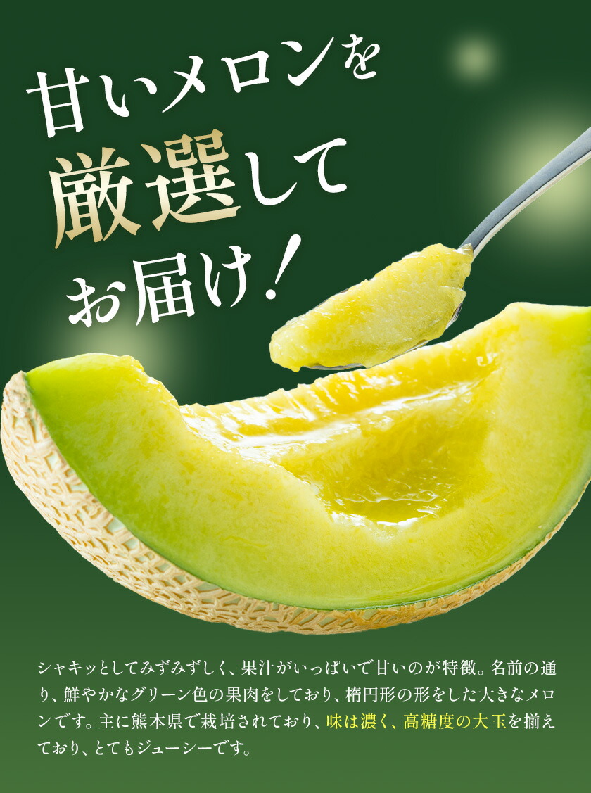 肥後グリーンメロン 1玉 2L以上【メロンドーム】 メロン 果物 フルーツ 九州産 熊本県産 送料無料【2026年5月中旬頃より出荷】【先行予約】---003-1568---