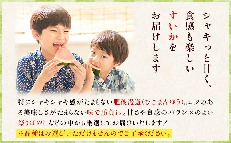 【先行予約】厳選すいか 1玉(8-9kg) 道の駅七城メロンドーム《5月中旬-6月中旬頃出荷》品種おまかせ ランダム 肥後漫遊 味で勝負iS 祭りばやし 果物 フルーツ スイカ 西瓜 九州産 熊本県産 送料無料---003-1574---