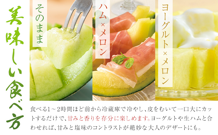 肥後グリーンメロン 約2-2.4kg×2玉【養生市場】 有限会社七城町特産品センター《5月中旬-6月中旬頃出荷》熊本県 菊池市 メロン グリーンメロン 果物 フルーツ 熊本県産 送料無料---003-1578---