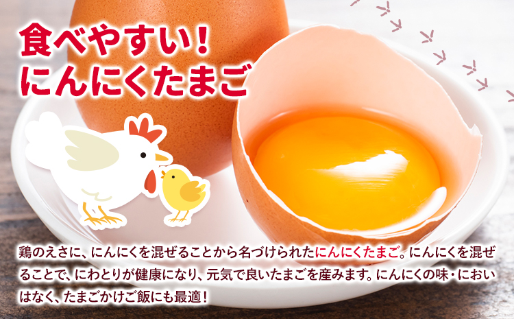 旬の野菜とたまごのセットメロンドーム 野菜 卵 にんにくたまご 卵 詰め合わせ 有限会社七城町特産品センター《30日以内に出荷予定(土日祝除く)》熊本県 菊池市 セット 新鮮 国産 九州産 熊本県 菊池市 道の駅 旬 送料無料---003-1963---