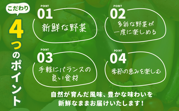 野菜セット 8品 養生市場 詰め合わせ セット 品種おまかせ 有限会社七城町特産品センター《90日以内に出荷予定(土日祝除く)》熊本県 菊池市 ランダム 野菜 旬の野菜 九州産 熊本県産---003-1964---