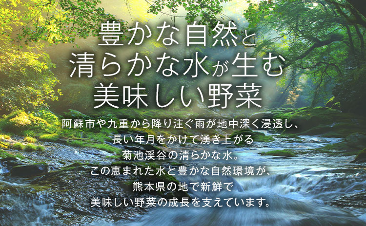 ピクルス 大瓶 3本セット 【メロンドーム】 約260g×3本 ピクルス 野菜 酢漬け 漬物 おつまみ 旬の野菜 《30日以内に出荷予定(土日祝除く)》---003-2409---