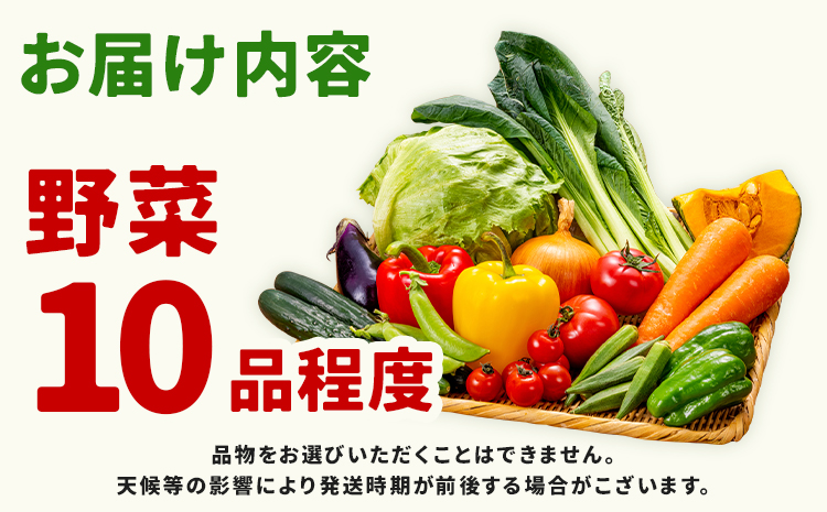 【定期便】 野菜 10品程度 計5回【メロンドーム】 定期便 5ヶ月お届け 詰め合わせ セット 国産 九州産 熊本県 菊池市 道の駅 送料無料《お申し込みの翌月から出荷》---003-2419---