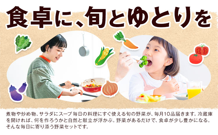 旬の野菜 定期便 計3回 旬の野菜 10品【養生市場】定期便 品種おまかせ ランダム 3ヶ月お届け 計3回 詰め合わせ セット 野菜 九州産 熊本県産《お申し込みの翌月から出荷》---003-2421---