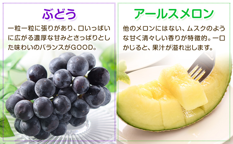 【定期便5回】 厳選 フルーツ 便 ( メロン ぶどう 梨 柿 いちご ) 葡萄 ブドウ ナシ なし かき 太秋柿 イチゴ 苺 果物 くだもの セット 詰め合わせ 定期便 《お申し込みの翌月から出荷》---003-2425---