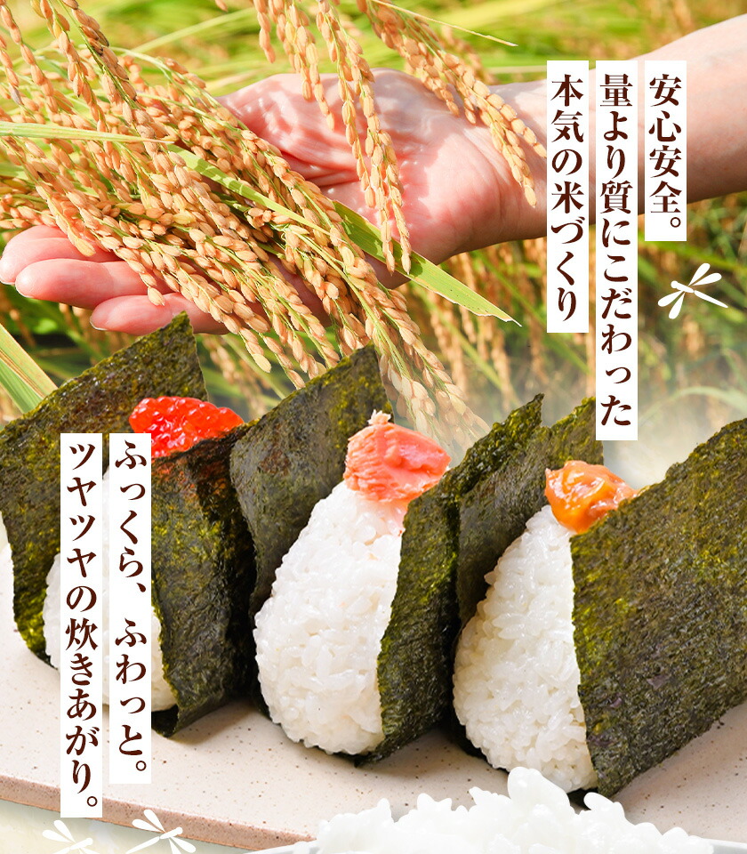 【5ヶ月定期便】令和7年産 七城のこめ 精米 5kg/月×5回 計25kg ヒノヒカリ ひのひかり 有限会社七城町特産品センター 《お申し込み月の翌月から出荷開始》 熊本県 菊池市 定期便 お米 米 白米 九州産 熊本県産---003-0295---