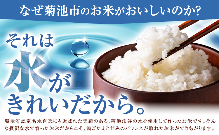 第13回 菊池米食味コンクール 個人総合部門 入賞米 ひのひかり 精米 5kg 七城町特産品センター《30日以内に出荷予定(土日祝除く)》熊本県 菊池市 米 こめ ヒノヒカリ お米 ブランド米 単一原料米 菊池---003-5012---