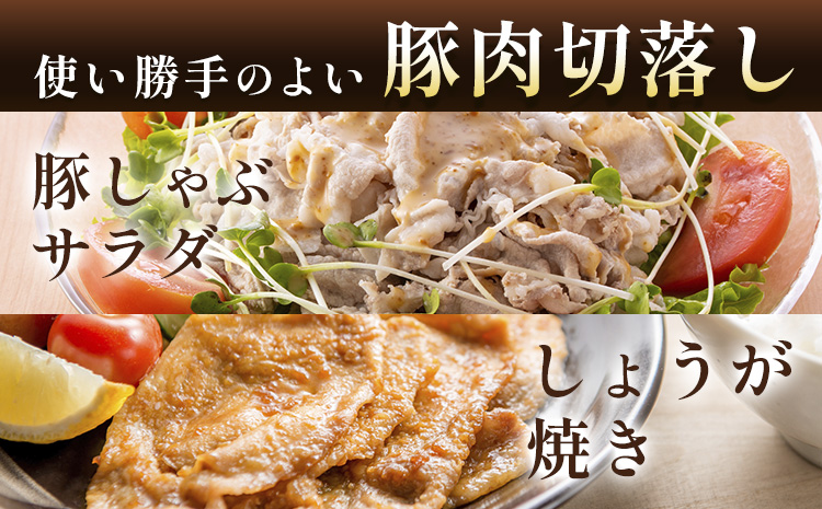 肥後あそび豚切落し 4kg 株式会社さつま屋産業 ぶた ブタ 豚肉 肉 ブランド豚 切り落とし 国産 九州産 熊本県産 菊池市産 冷凍 送料無料《90日以内に出荷予定(土日祝除く)》---015-1984---