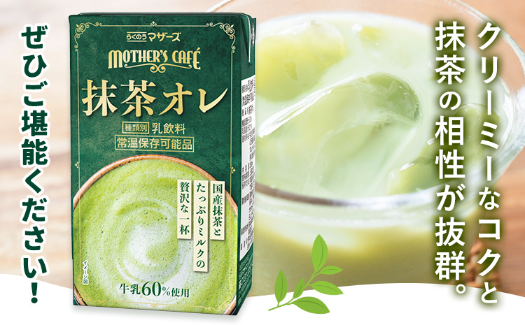 【12ヶ月定期便】250ml×24本／月×12回（計288本） 抹茶・オ・レ 合同会社たべたせいか《お申し込みの翌月から出荷》 抹茶オーレ 抹茶オレ 抹茶ミルク 抹茶 抹茶 乳製品 乳飲料 クロレラ 飲み物 飲料 常温保存 お取り寄せ 国産抹茶 熊本県産 菊池市 送料無料---0016-3163---