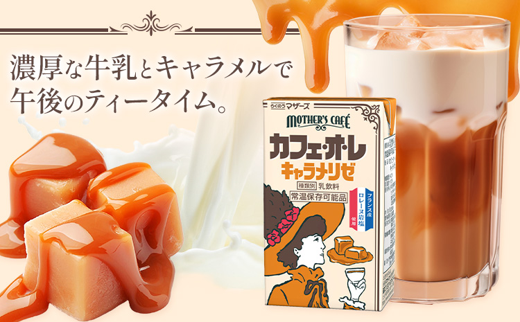 常温保存可能 カフェオレ キャラメリゼ 250ml×24本 1ケース 合同会社たべたせいか《30日以内に出荷予定(土日祝除く)》熊本県 菊池市 コーヒー牛乳 カフェ・オ・レ キャラメル 乳飲料 乳性飲料 らくのうマザーズ ドリンク 飲み物 飲料 セット 紙パック---016-1518---