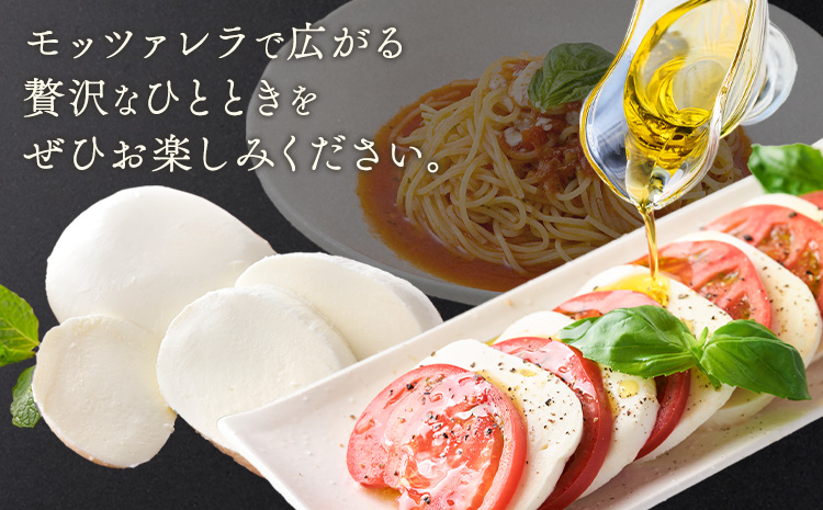 モッツァレラチーズ ミル爆 3個 チーズ モザレラ 株式会社フォルナ・ヴェスタ《90日以内に出荷予定(土日祝除く)》フレッシュ カプレーゼ おつまみ 前菜 手作り 国産 熊本県 菊池市 送料無料---018-1985---