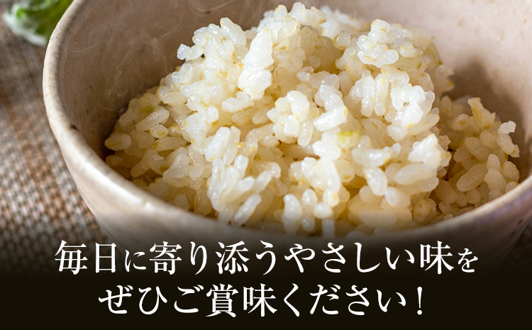 米 ヒノヒカリ 5分づき 5kg 内容量 1袋 5kg 合同会社くまもとごはん 《30日以内に出荷予定(土日祝除く)》 熊本県 菊池市 お米 分づき米 九州産 熊本県産 白米 無洗米 ひのひかり 送料無料---026-0522---