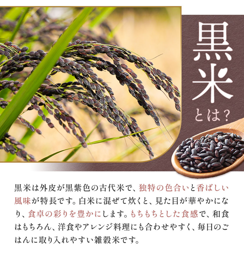 黒米入り玄米 ご飯パック 150g×24個 合計3.6kg 玄米 レトルトパック レトルト 合同会社くまもとごはん《30日以内に出荷予定(土日祝除く)》 熊本県 菊池産 ヒノヒカリ 雑穀米 熊本県産 九州産 熊本県産 送料無料---026-2531---