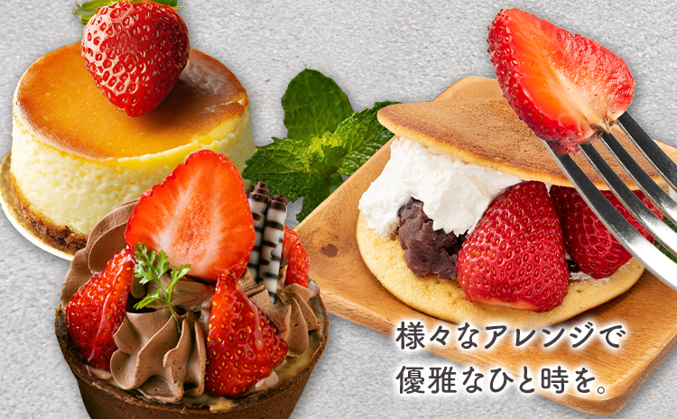 贅沢イチゴ ひのしずく 約45g×12玉 いちご イチゴ 苺《2026年2月発送予定》ヴァリアス株式会社 果物 くだもの フルーツ 希少 ギフト プレゼント 贈り物 国産 九州産 熊本県 菊池市 送料無料---028-0003---