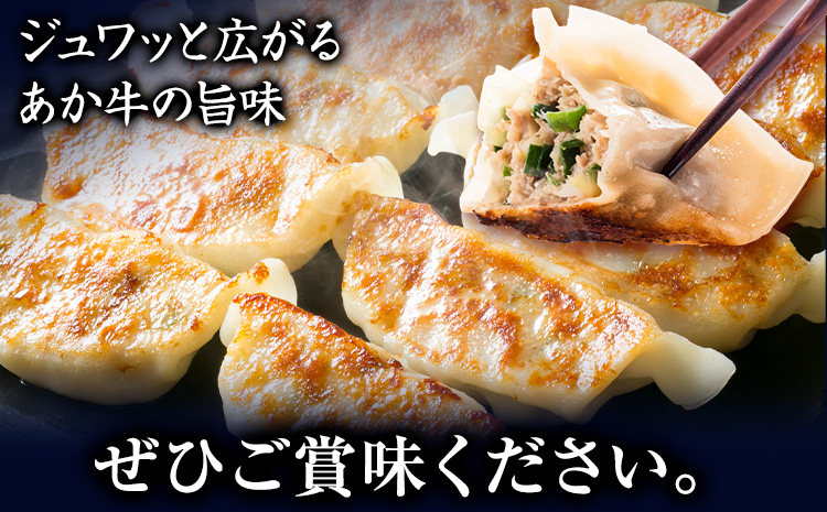 くまもと あか牛 100％ 餃子 20個入り×3(計60個) 牛肉《30日以内に出荷予定(土日祝除く)》---034-5010---