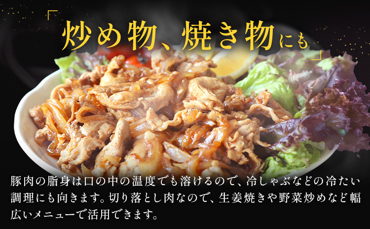 りんどうポーク 切り落とし 計1.6kg（400g×4パック）《90日以内に出荷予定(土日祝除く)》 熊本県産 ブランド 豚肉---039-2012---