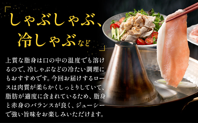 りんどうポーク ロース しゃぶしゃぶ用 計800g（400g×2パック）《90日以内に出荷予定(土日祝除く)》熊本県産 ブランド 豚肉st-p---039-2014---