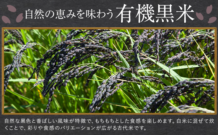 熊本県菊池産 七城物語 有機黒米（玄米）合計900g（180g×5パック）《30日以内に出荷(土日祝を除く)》---045-1334---