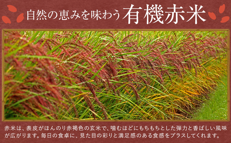 七城物語 有機赤米  玄米 合計900g(180g×5パック) 赤米《30日以内に出荷(土日祝を除く)》---045-1340---