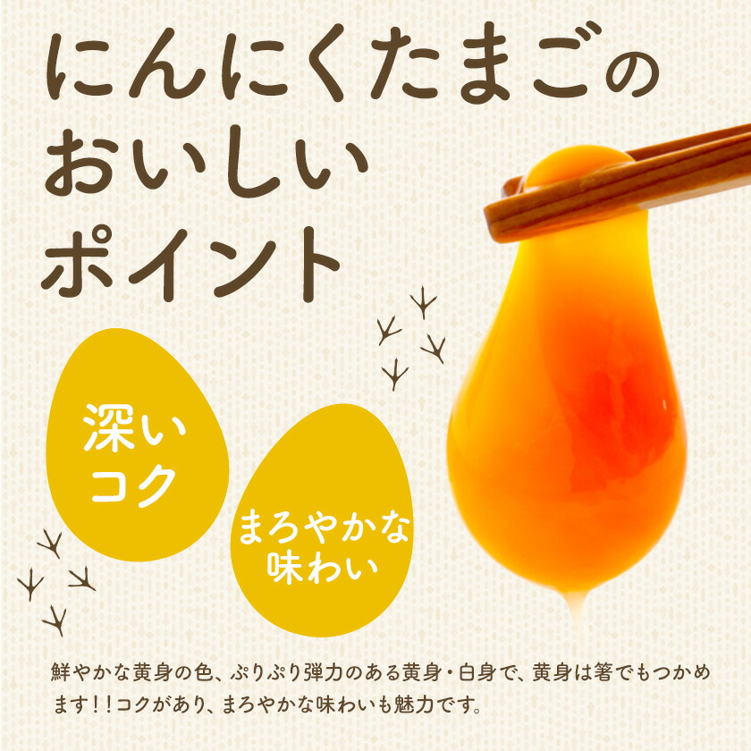 卵 にんにくたまご 内容量 60個 株式会社つづき《90日以内に出荷予定(土日祝除く)》熊本県 菊池市 卵 たまご にんにく卵 鶏卵 熊本県産 九州産 冷蔵 送料無料---064-2051---