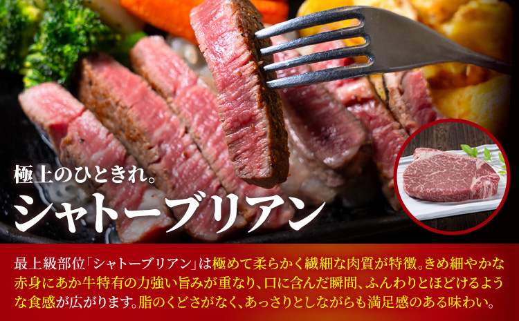 熊本あか牛 極上ステーキ 3品 セット 合計約4.2kg 3種類 サーロイン シャトーブリアン カイノミ 合同会社たべたせいか《30日以内に出荷予定(土日祝除く)》熊本県 菊池市 肉 牛肉 お肉 あか牛 ステーキ 希少部位 詰め合わせ 食べ比べ 熊本県産 冷凍 送料無料---069-1231---