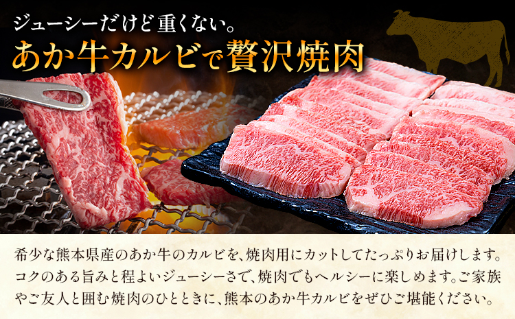 あか牛カルビ 焼き肉用 約400g 合同会社たべたせいか《30日以内に出荷予定(土日祝除く)》熊本県 菊池市 肉 牛肉 お肉 和牛 あか牛 焼き肉 焼肉 やきにく BBQ バーベキュー カルビ 熊本県産 冷凍 送料無料---069-2058---
