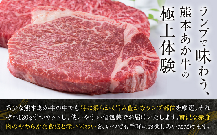 あか牛ミニステーキ ランプ部位使用 約480g 合同会社たべたせいか《30日以内に出荷予定(土日祝除く)》熊本県 菊池市 肉 牛肉 お肉 和牛 あか牛 ステーキ ミニステーキ 個包装 小分け 熊本県産 冷凍 送料無料---069-2062---
