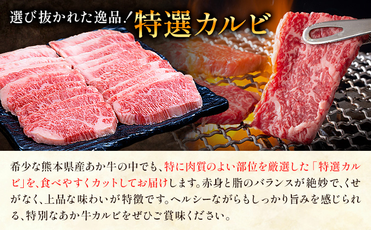 熊本あか牛 特選カルビ 500g 合同会社たべたせいか《30日以内に出荷予定(土日祝除く)》熊本県 菊池市 肉 牛肉 お肉 和牛 あか牛 焼き肉 焼肉 やきにく BBQ バーベキュー 特選 カルビ 熊本県産 冷凍 送料無料---069-2064---