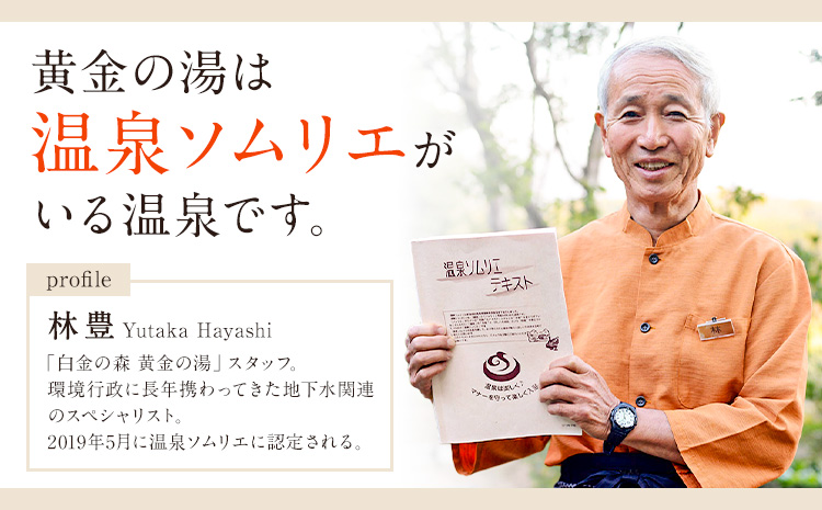 白金温泉 黄金の湯 入浴券 10枚 株式会社白金の森《30日以内に出荷予定(土日祝除く)》熊本県 菊池市 チケット 温泉 天然温泉 旅行 送料無料---075-0511---