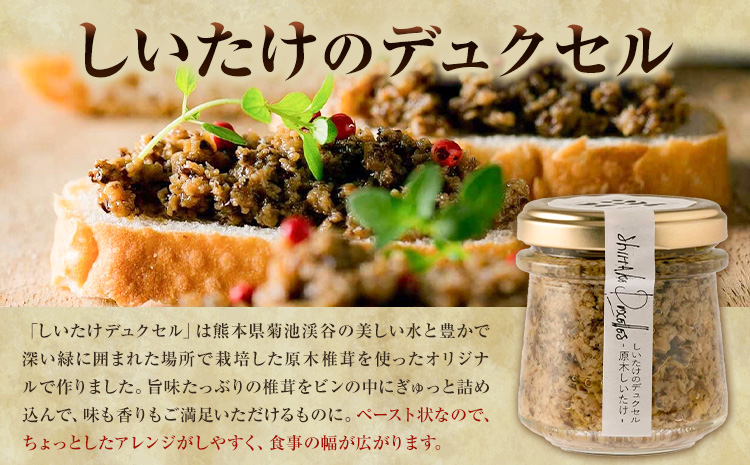 原木椎茸堪能セット 肉厚原木生椎茸 500g しいたけのデュクセル 2本 オリーブオイルマリネ 1本 合同会社 原田山業《90日以内に出荷予定(土日祝除く)》熊本県 菊池市 椎茸 しいたけ きのこ 肉厚 デュクセル オリーブオイル マリネ 瓶詰め セット 詰め合わせ---098-2090---